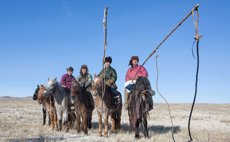 mongolia horses winter photos 
